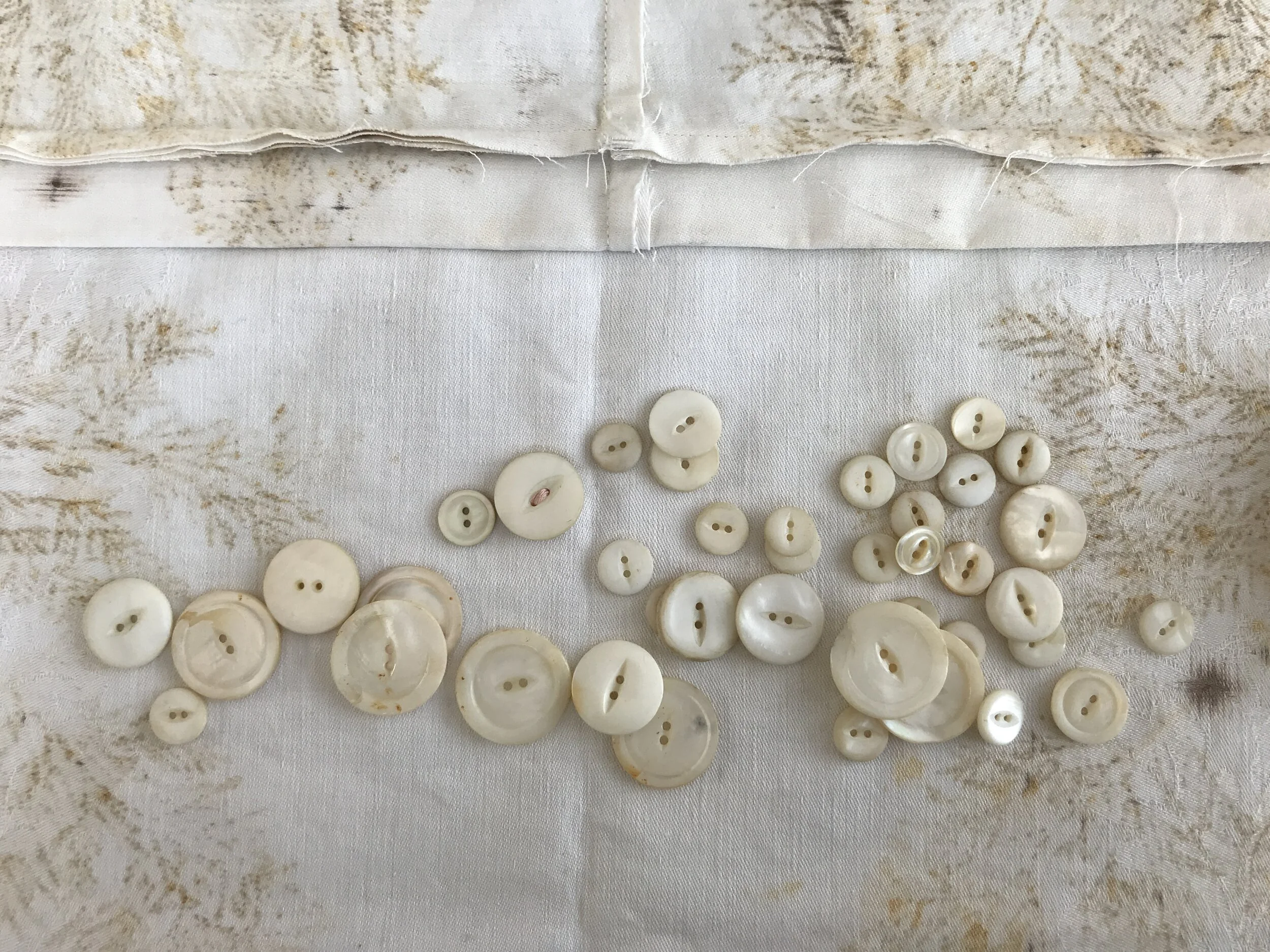 library closeup 0.jpeg