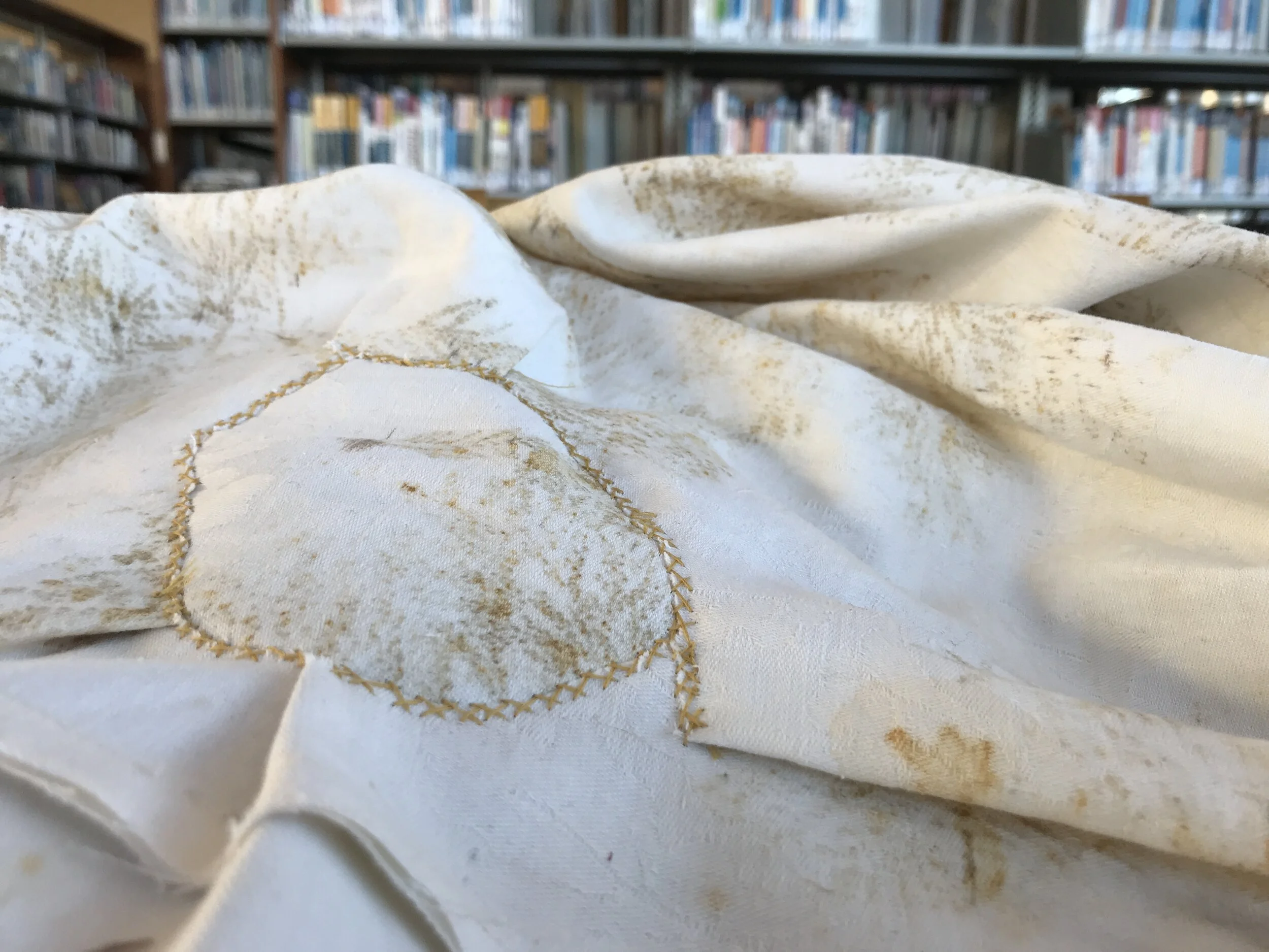 library process 11.jpeg