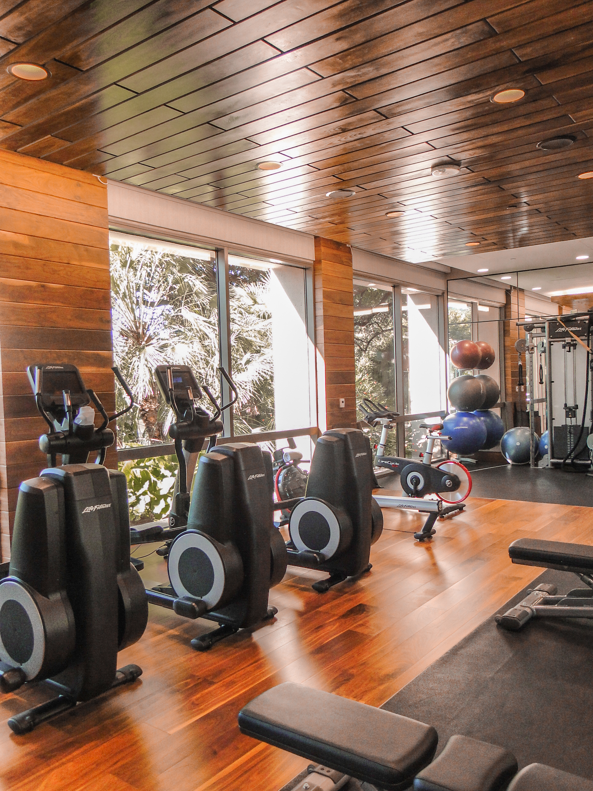 Four Seasons - Gym