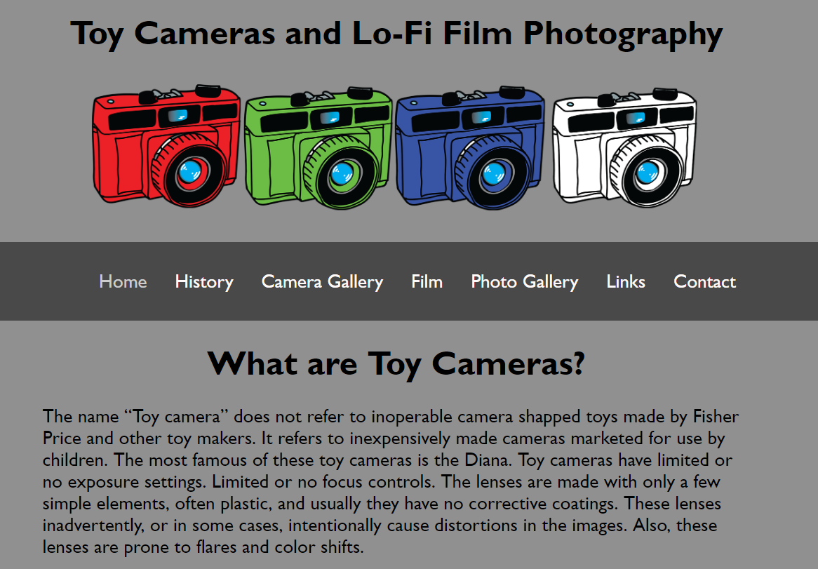 Toy Camera Website Design