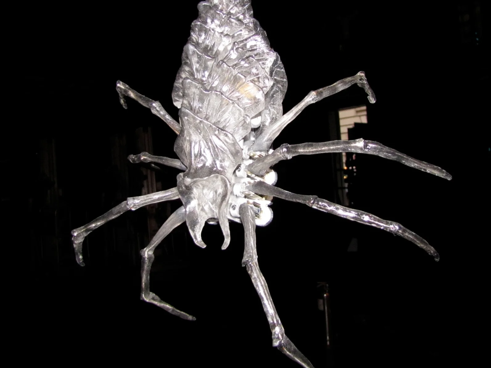 Spider Bite Puppet