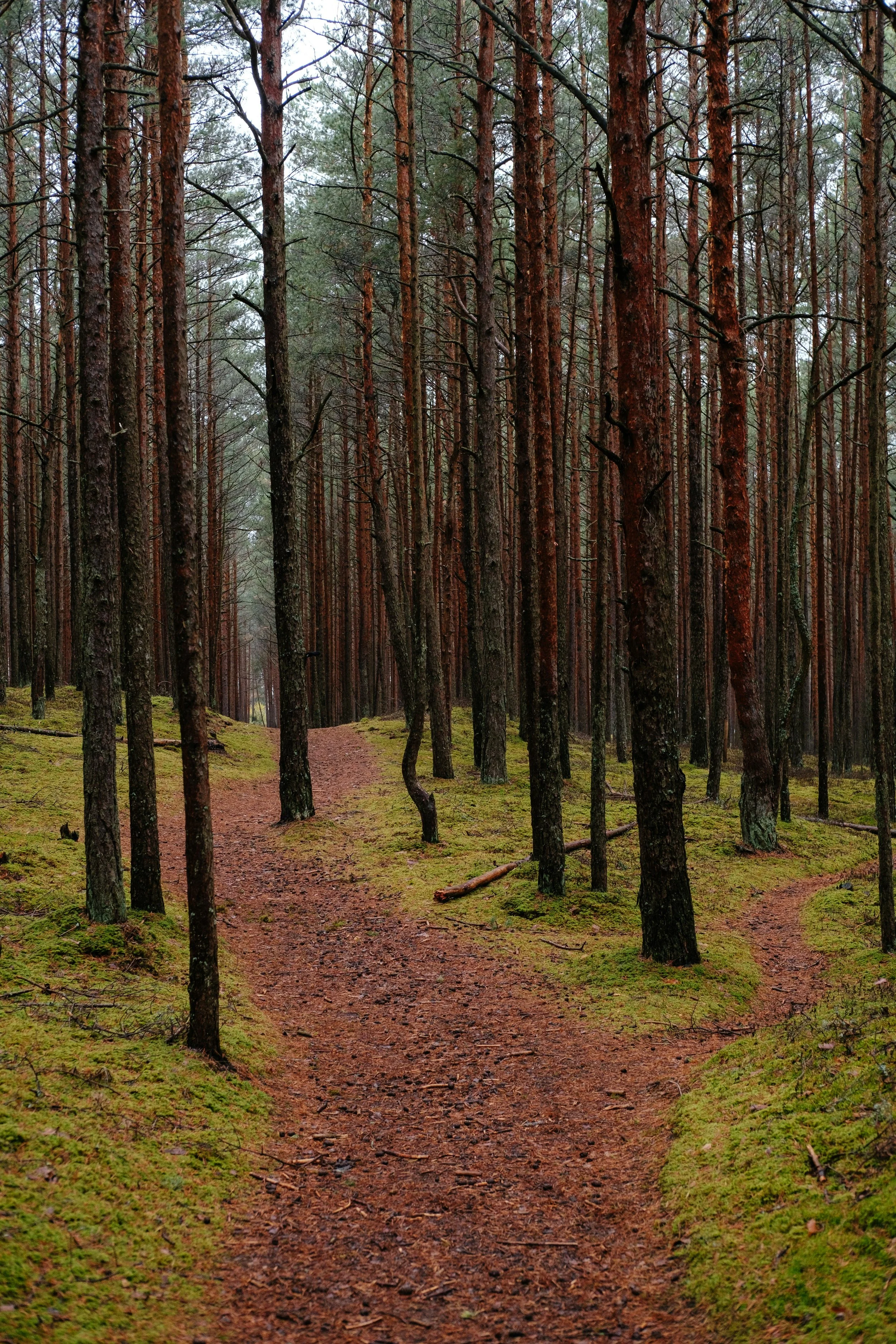 The Two Words That Will Transform Your Leadership