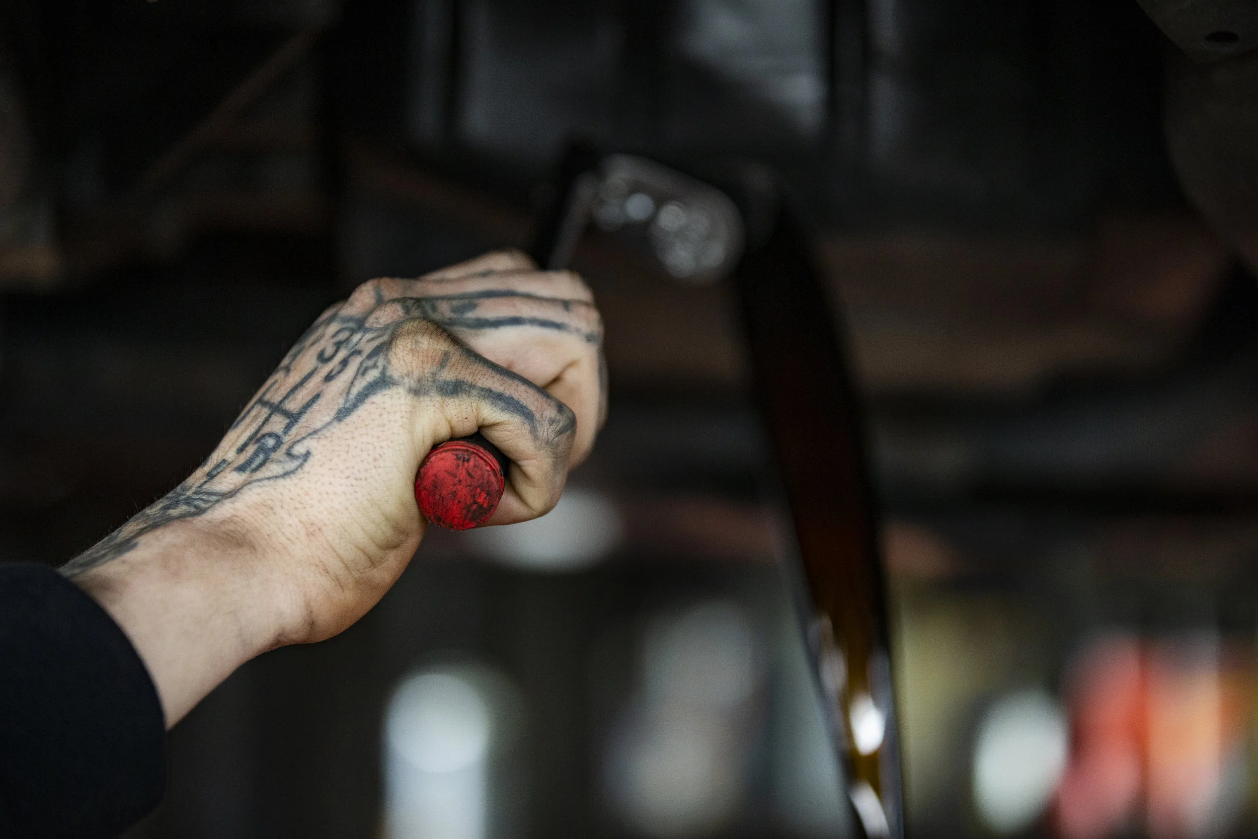 _TXB4309.JPG