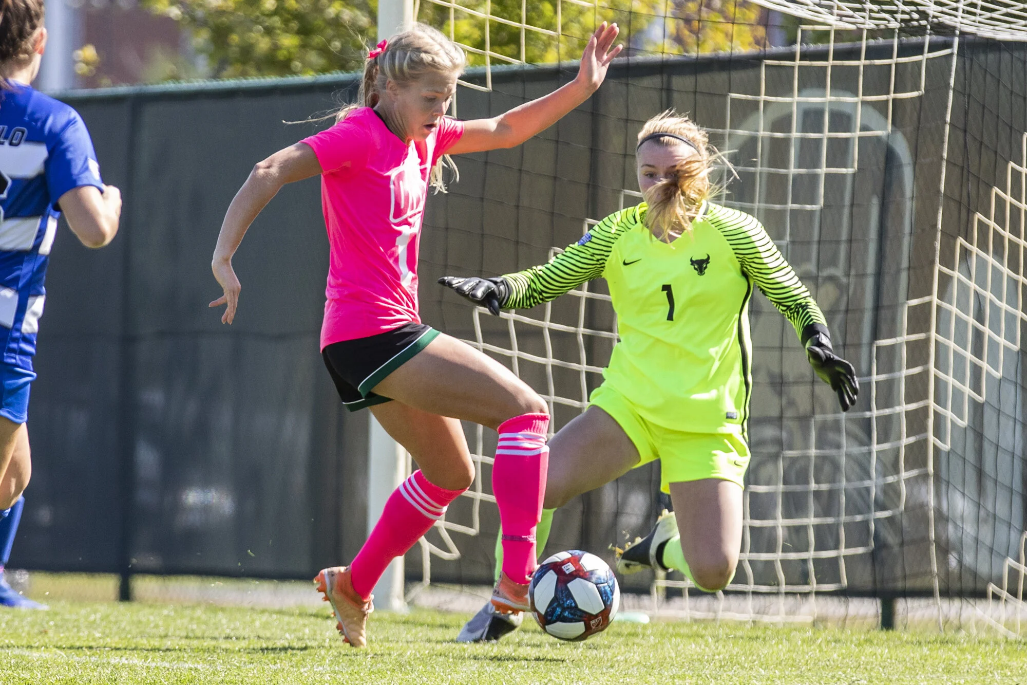 {2019}{10}{13} {WS vs Buffalo}{CM}648.jpg