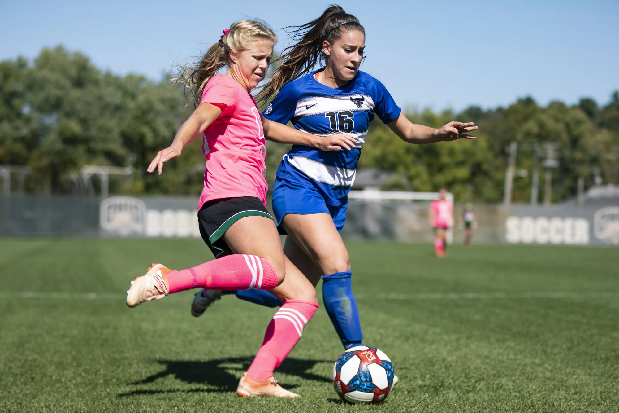 {2019}{10}{13} {WS vs Buffalo}{CM}722.jpg