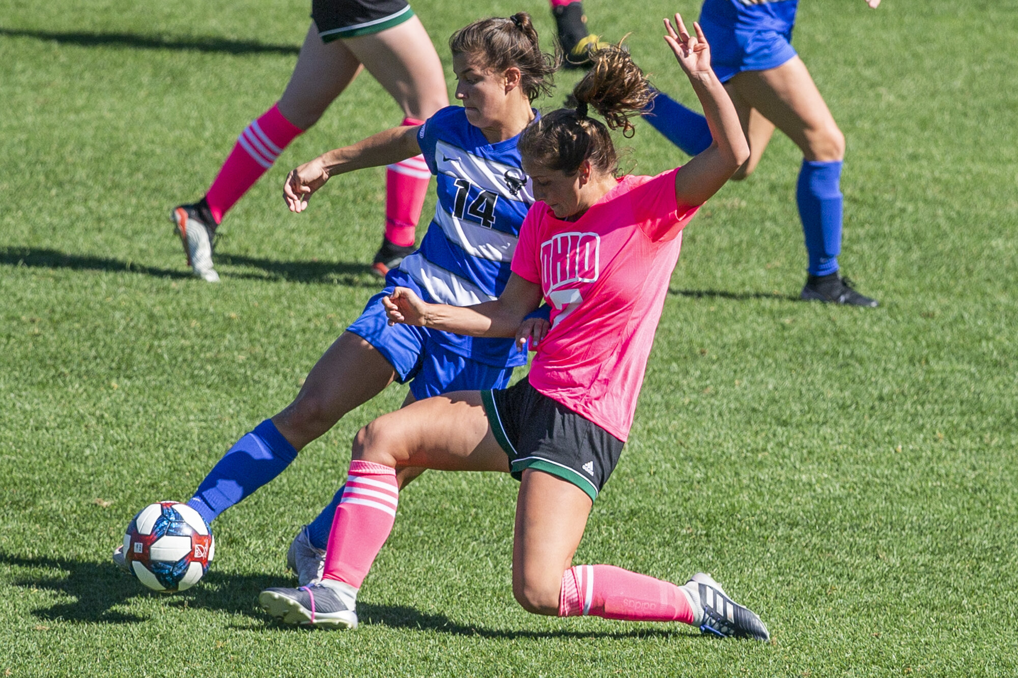 {2019}{10}{13} {WS vs Buffalo}{CM}1023.jpg