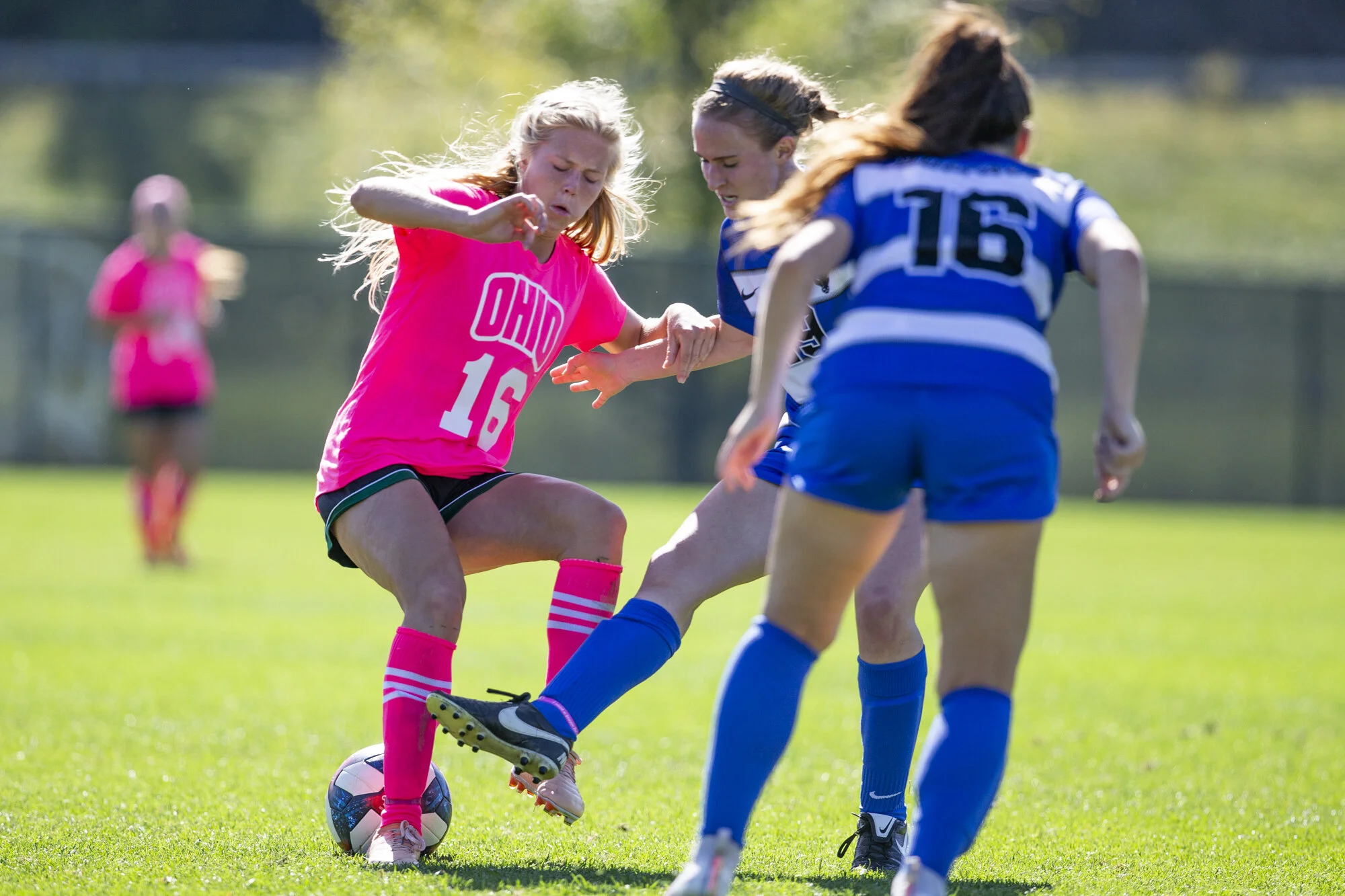 {2019}{10}{13} {WS vs Buffalo}{CM}1253.jpg