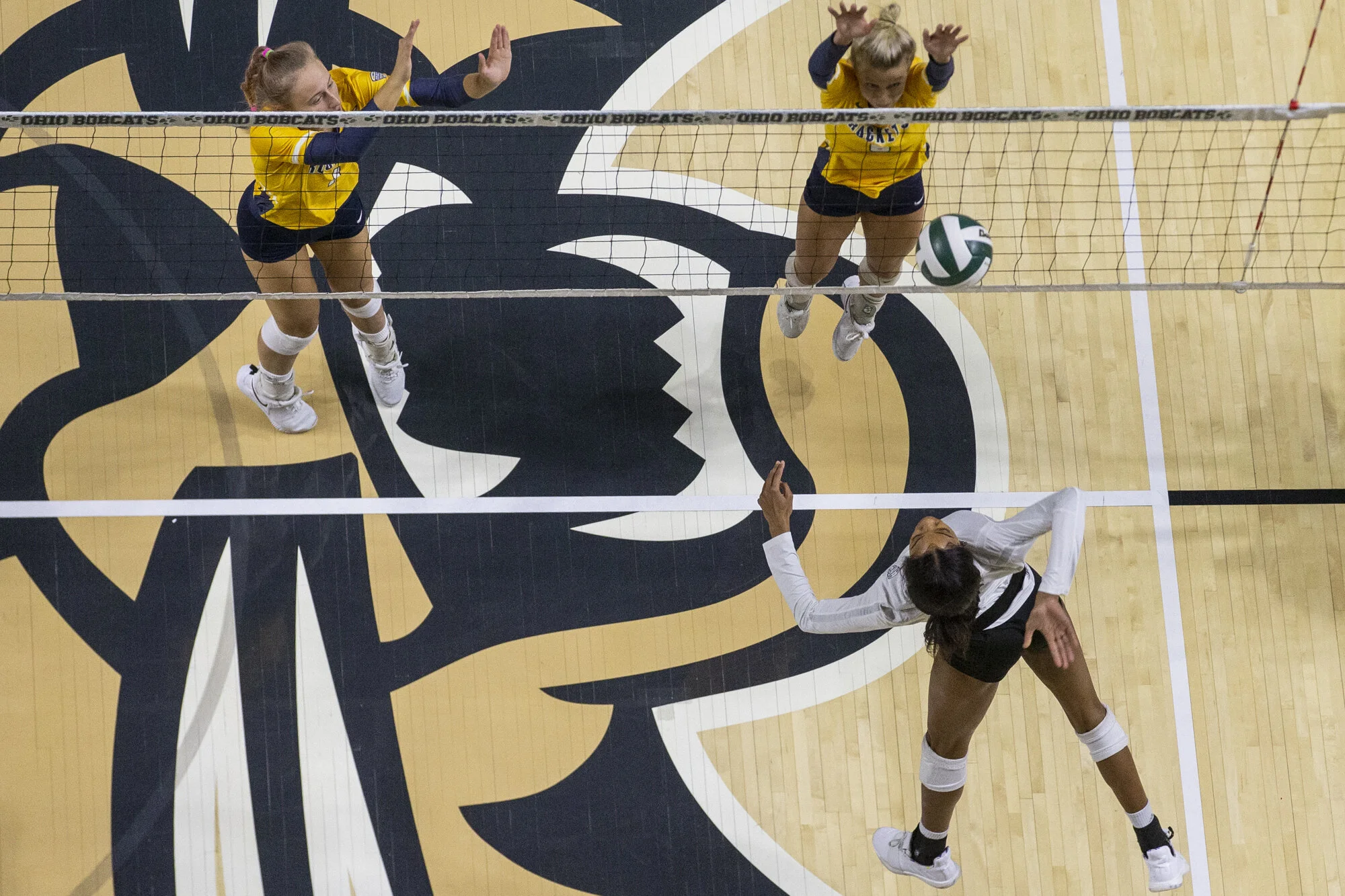 {2019}{10}{19} {VB vs Toledo}{CM}725.jpg