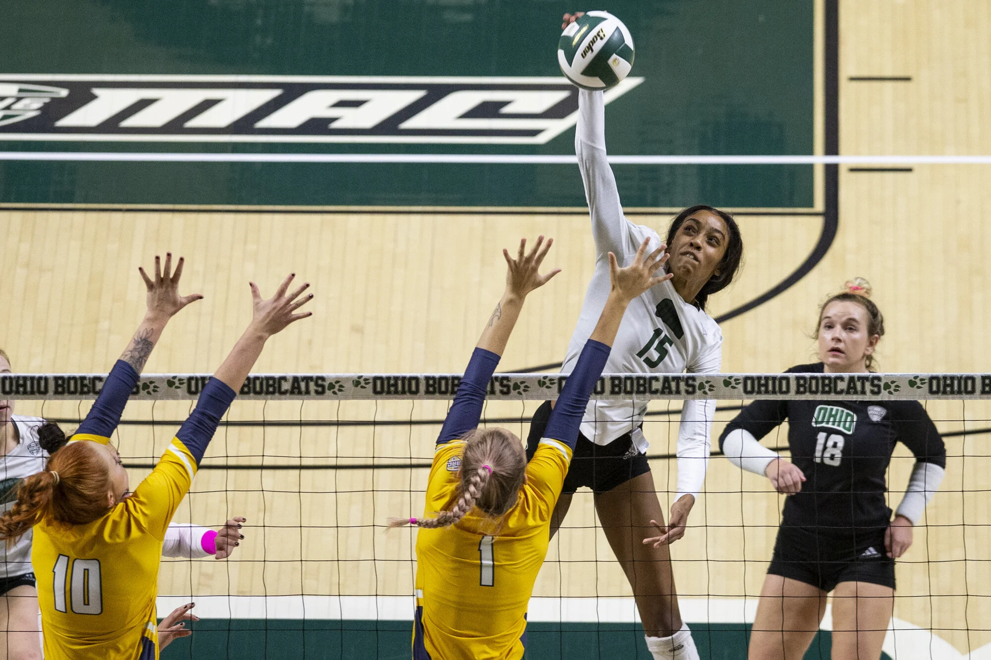 {2019}{10}{19} {VB vs Toledo}{CM}1373-2.jpg