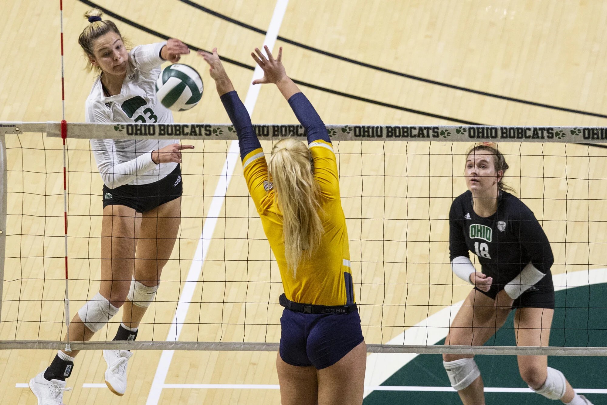 {2019}{10}{19} {VB vs Toledo}{CM}1412.jpg