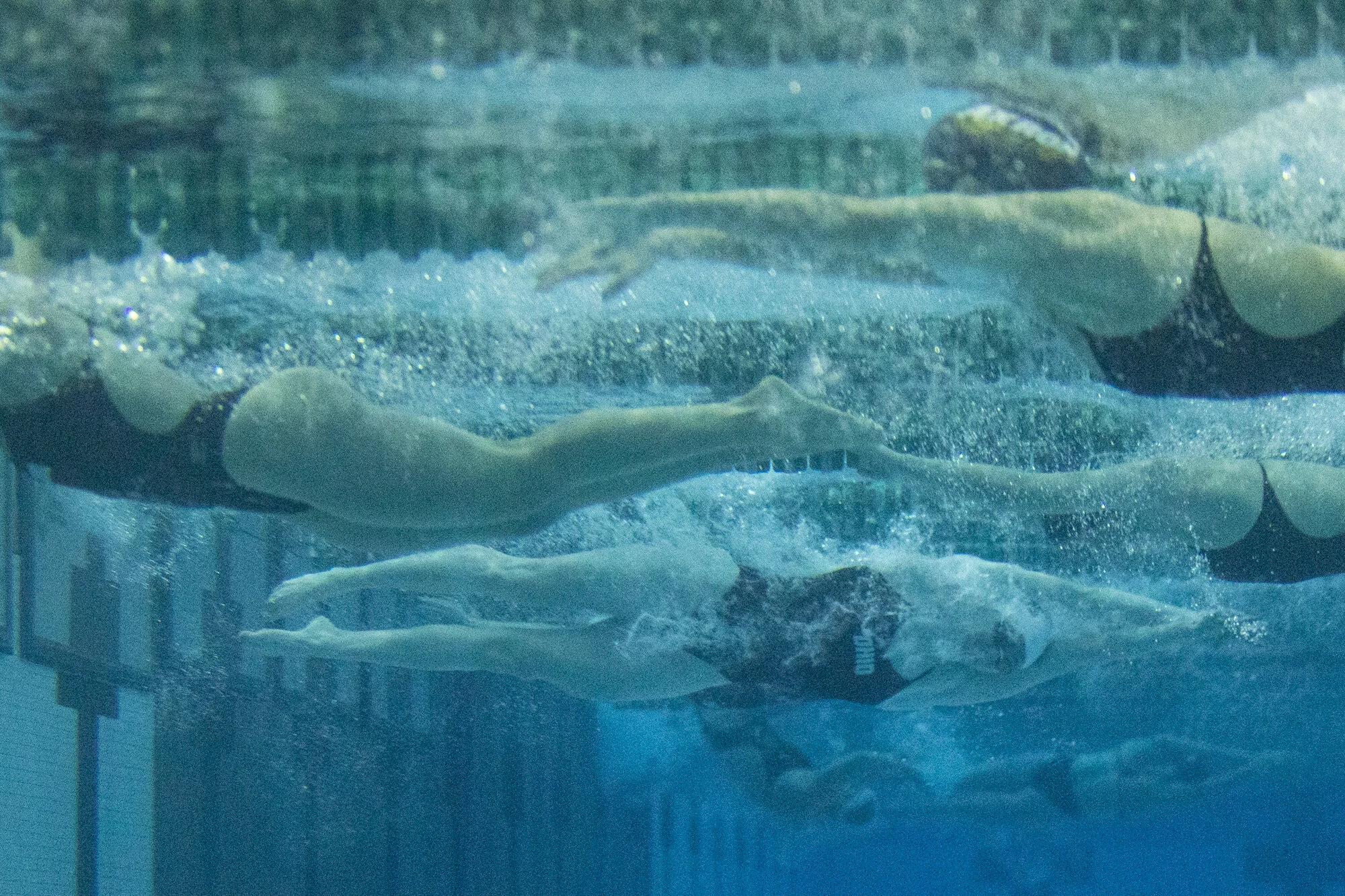 {2019}{11}{09} {SD vs Akron}{CM}1596.jpg