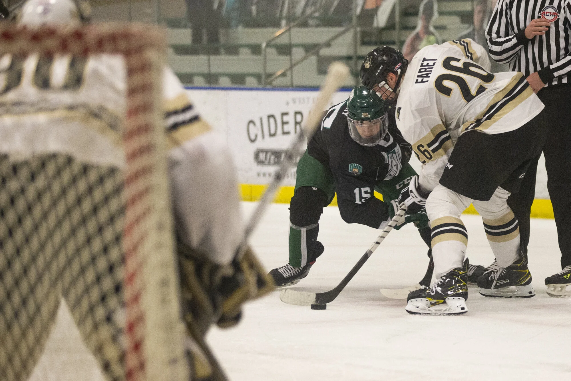 Mayr_HockeyvLindenwood11.jpg