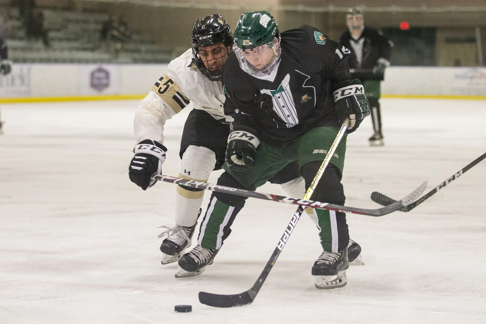 Mayr_HockeyvLindenwood17.jpg