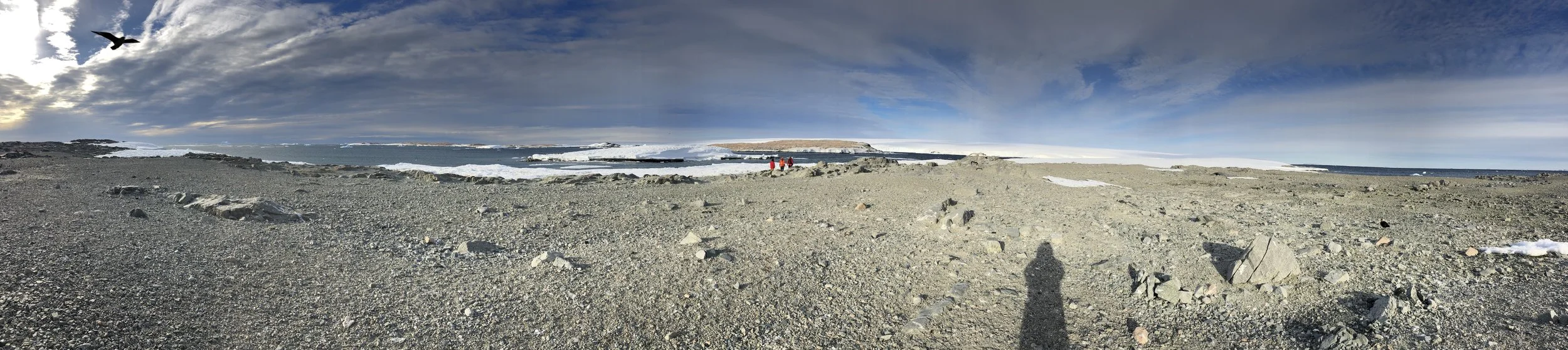 pic 2 GHC pano with skua_shadow.jpg