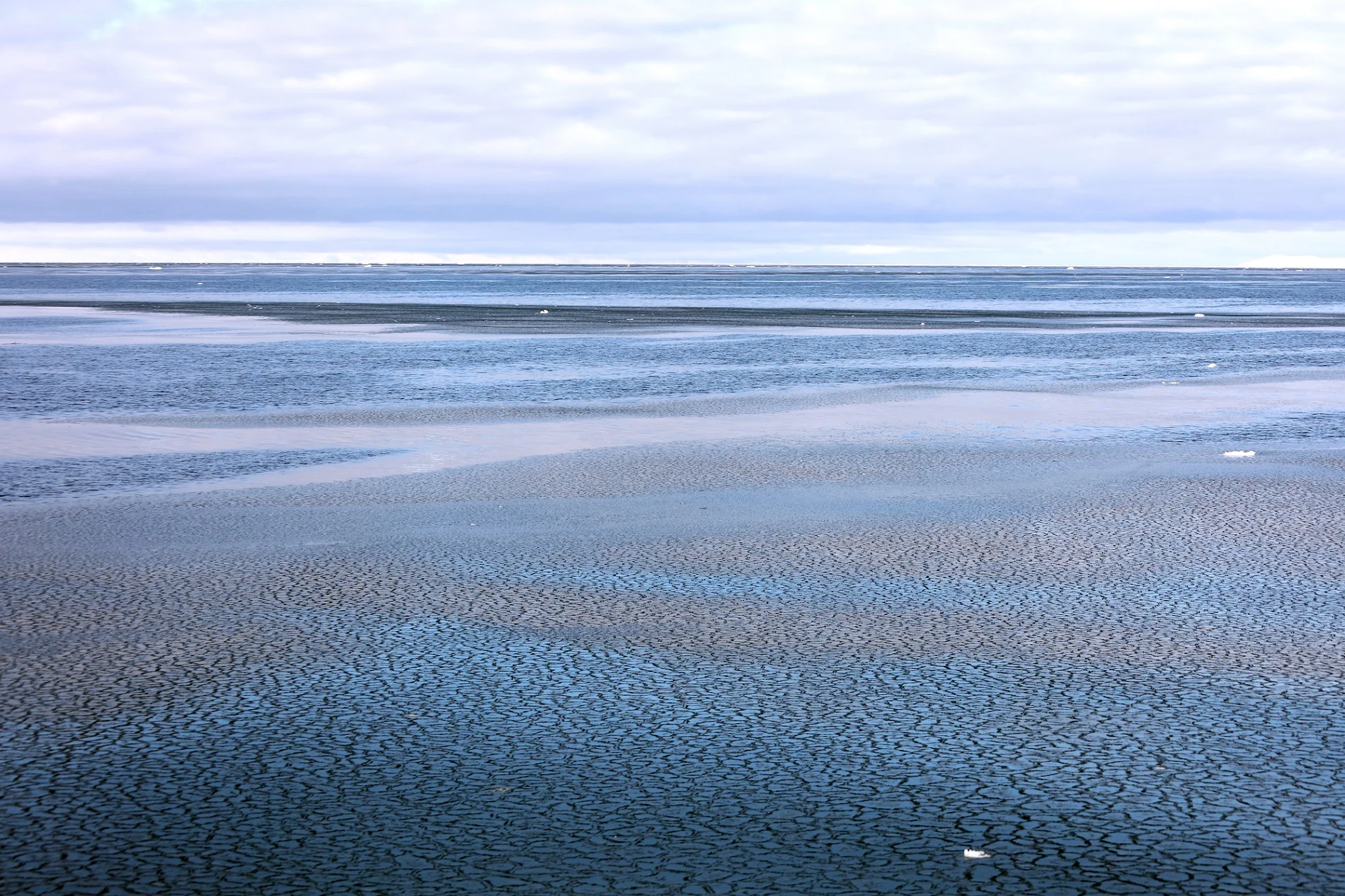 “ Grease” ice forming on the sea surface. This type of ice forms by direct freezing of seawater and is one of the first stages for formation of drift ice.