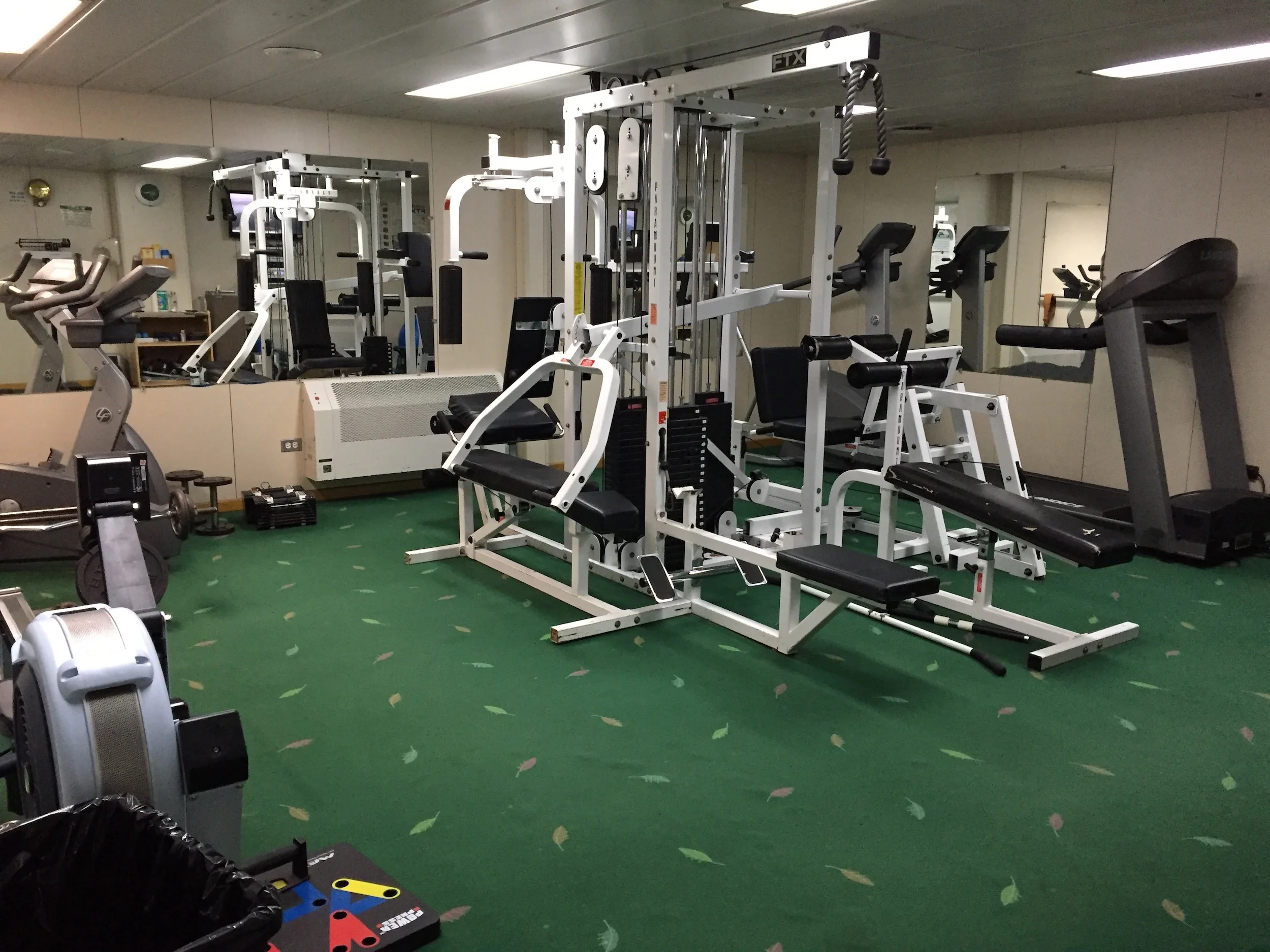 The Palmer’s gym