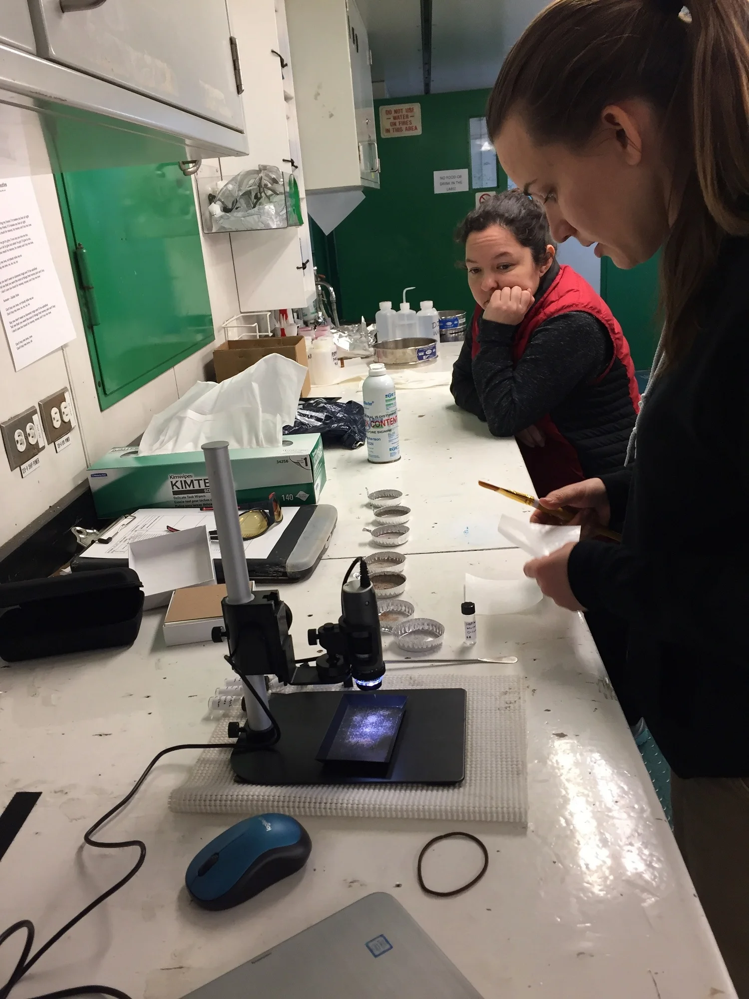 Becky Minzoni and Ph.D. student Victoria Fitzgerald look at Rose Bengal sieved samples using the Dinolite microscope.