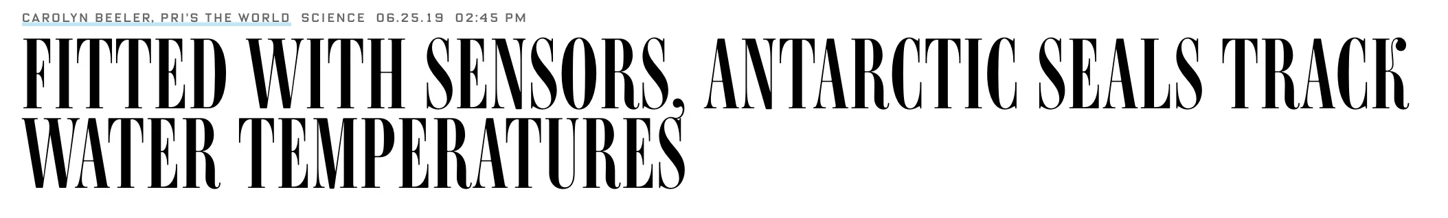 Wired seal article header.jpeg