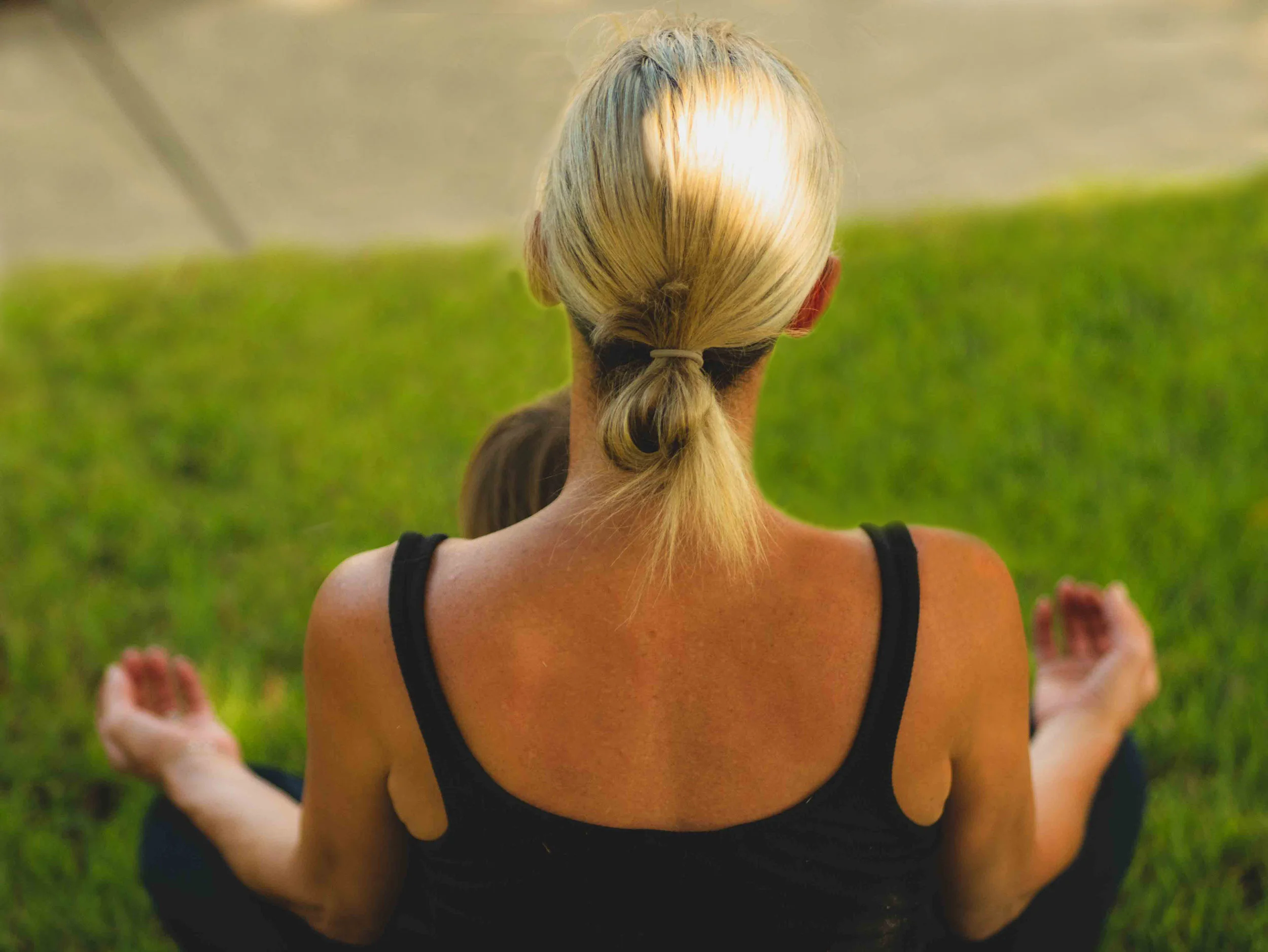 MDP 3rd almost final.jpg