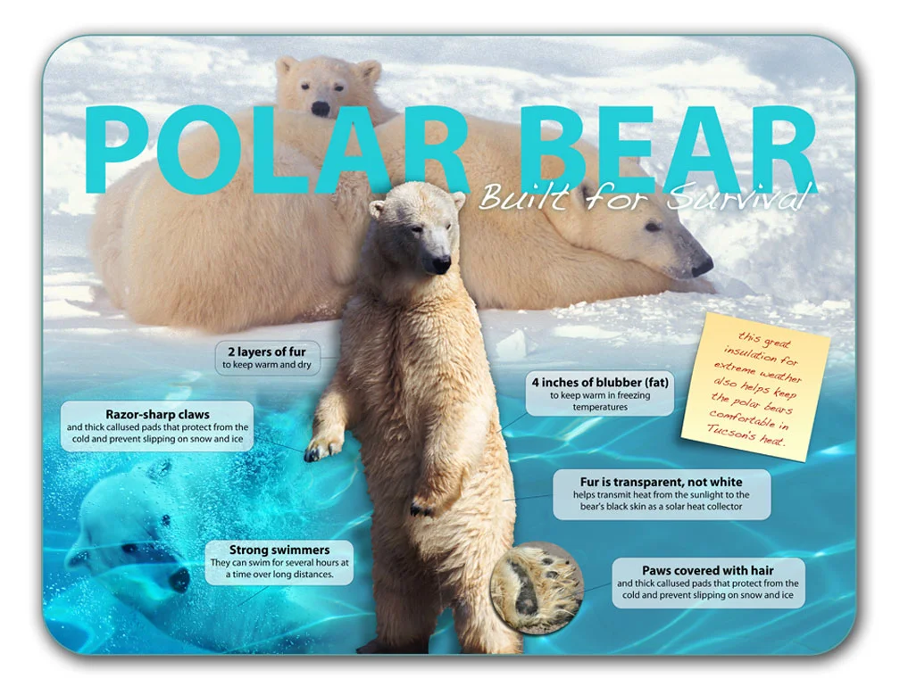 polar.jpg