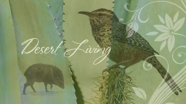 desert-living.jpg