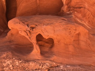 IMG_0783.jpeg