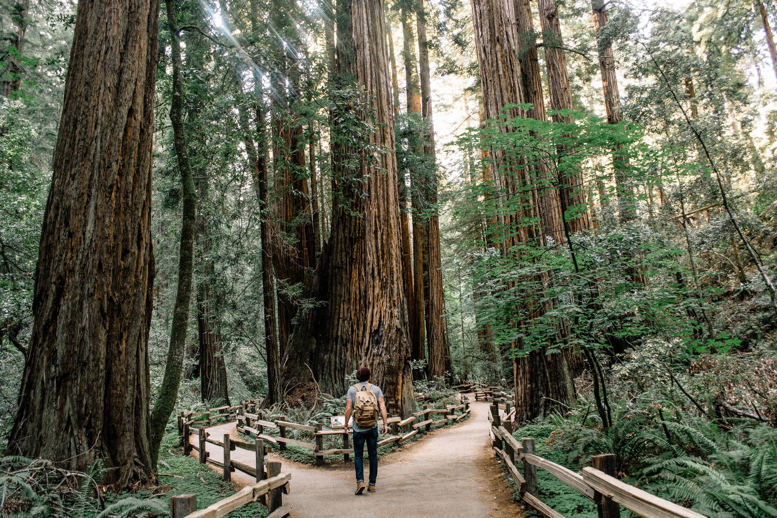 Hiking to Transformation