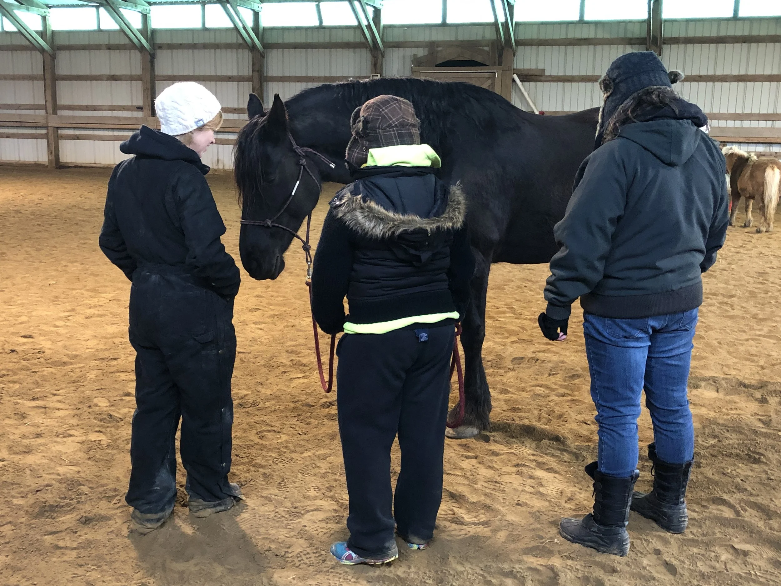April 2019 Horse Interaction