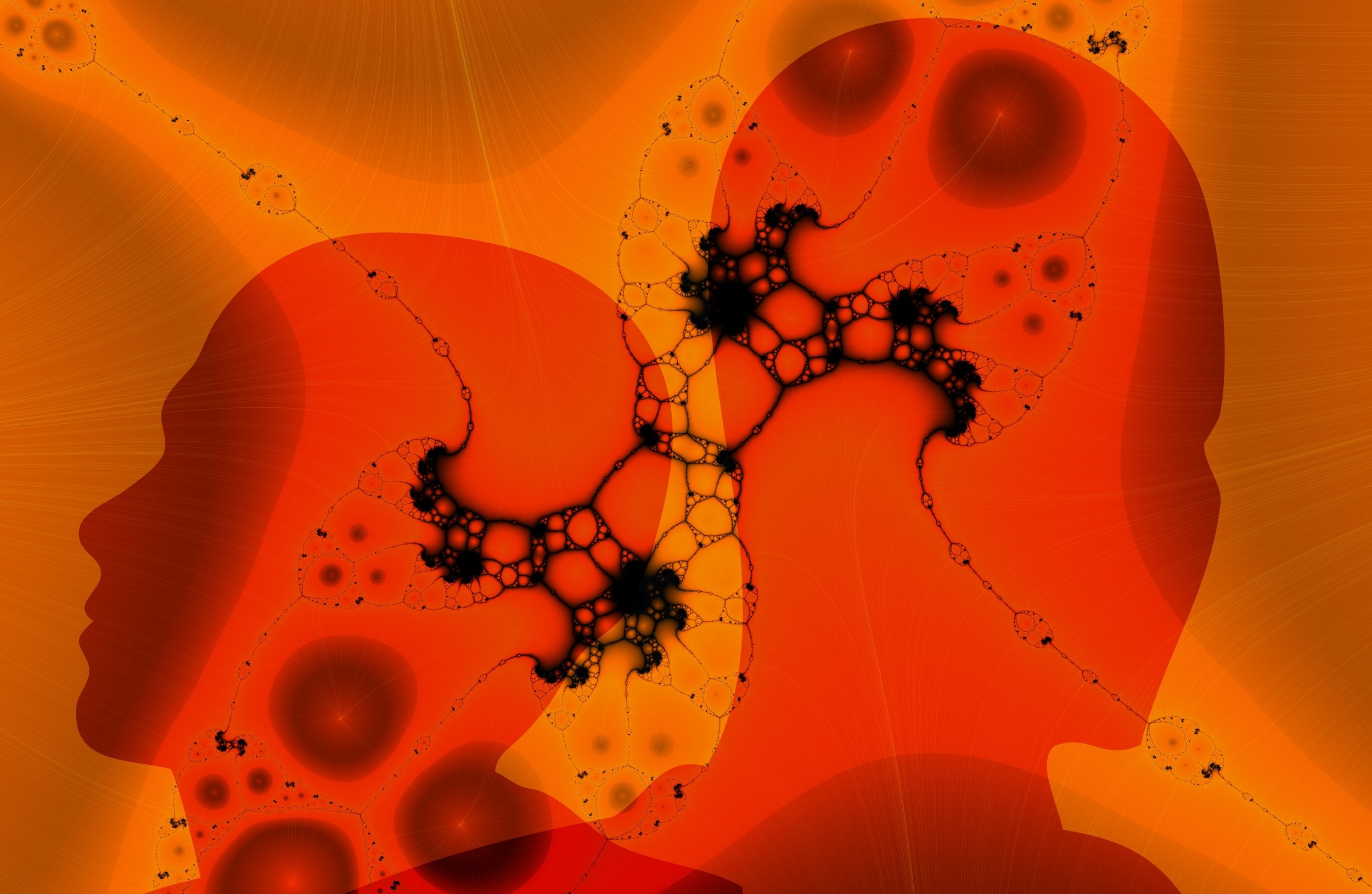 connection-647206.jpg