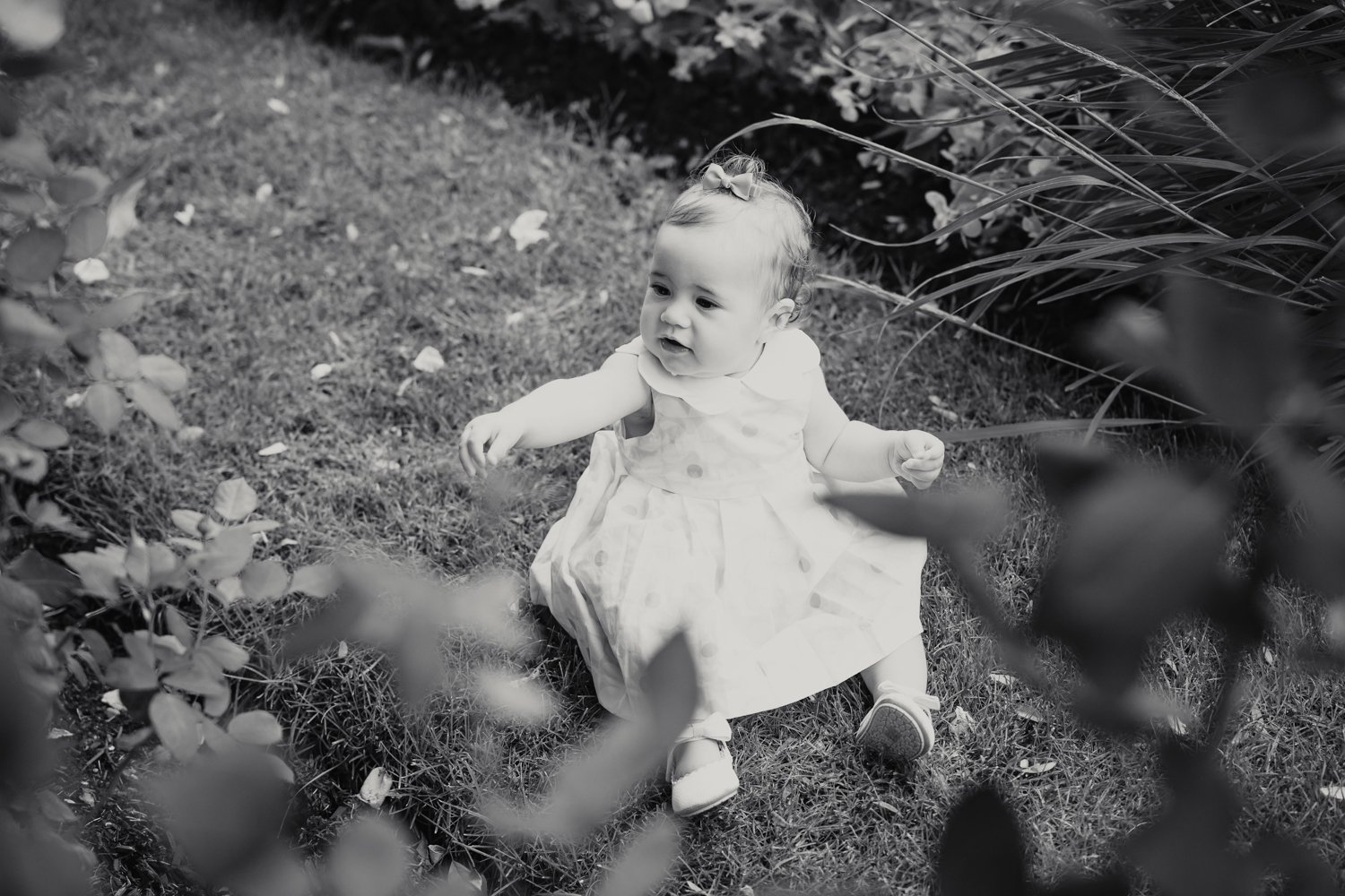 Brockville Family Photographer