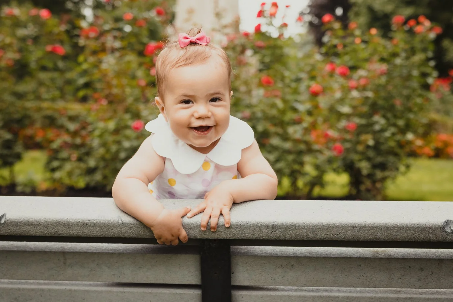 Brockville Family Photographer