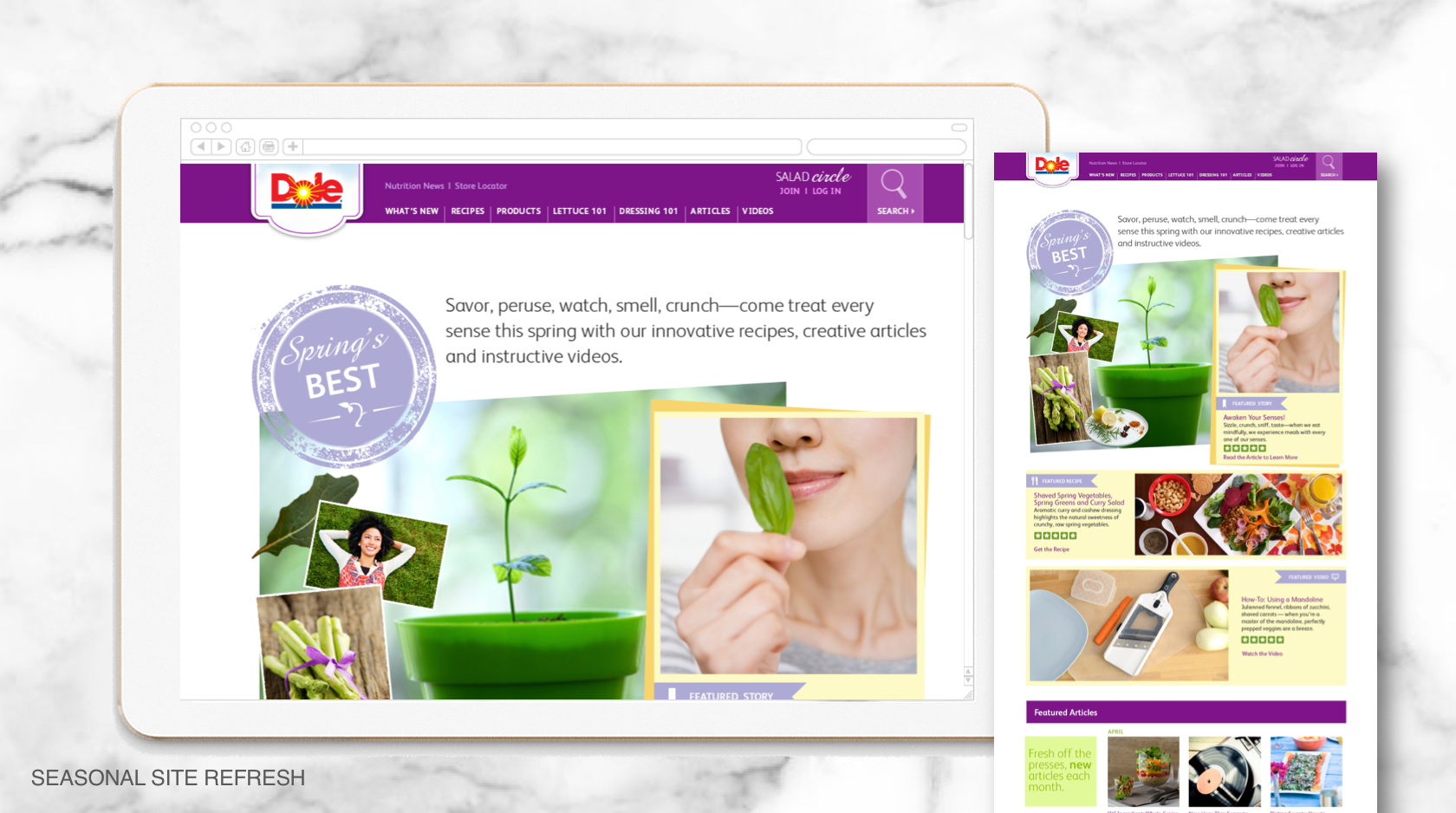 Screen Shot 2019-08-20 at 5.42.15 PM.png