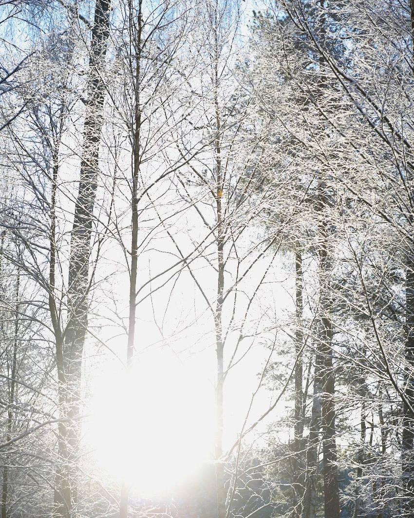 vintergrilla_mood_0193.jpg