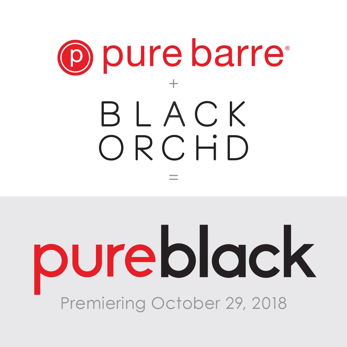 PureBlack29.jpg