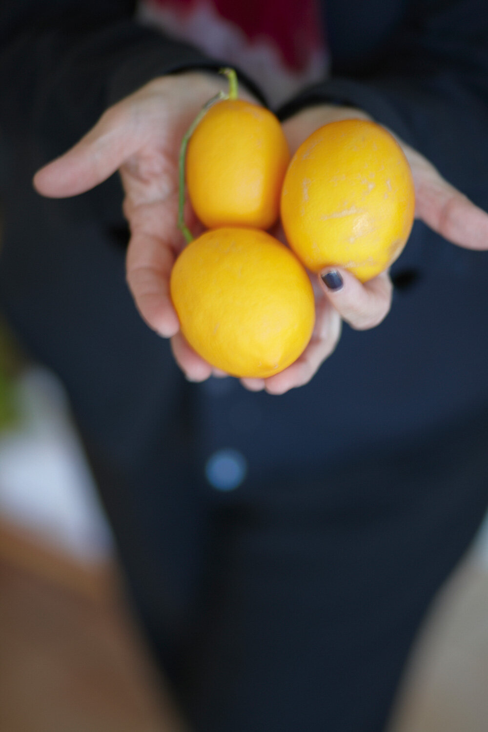 Julia-Spiess-Photography-031.jpg