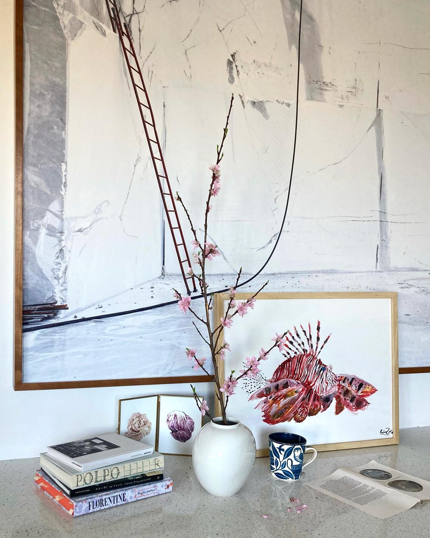 Accidental kitchen color coordination and a few favorite things &hellip; culinary travel escapes by way of @emikodavies&rsquo; #Florentinethecookbook + #polpocookbook &hellip; @mollyreeder&rsquo;s radicchio watercolor renderings &hellip; a spring twi