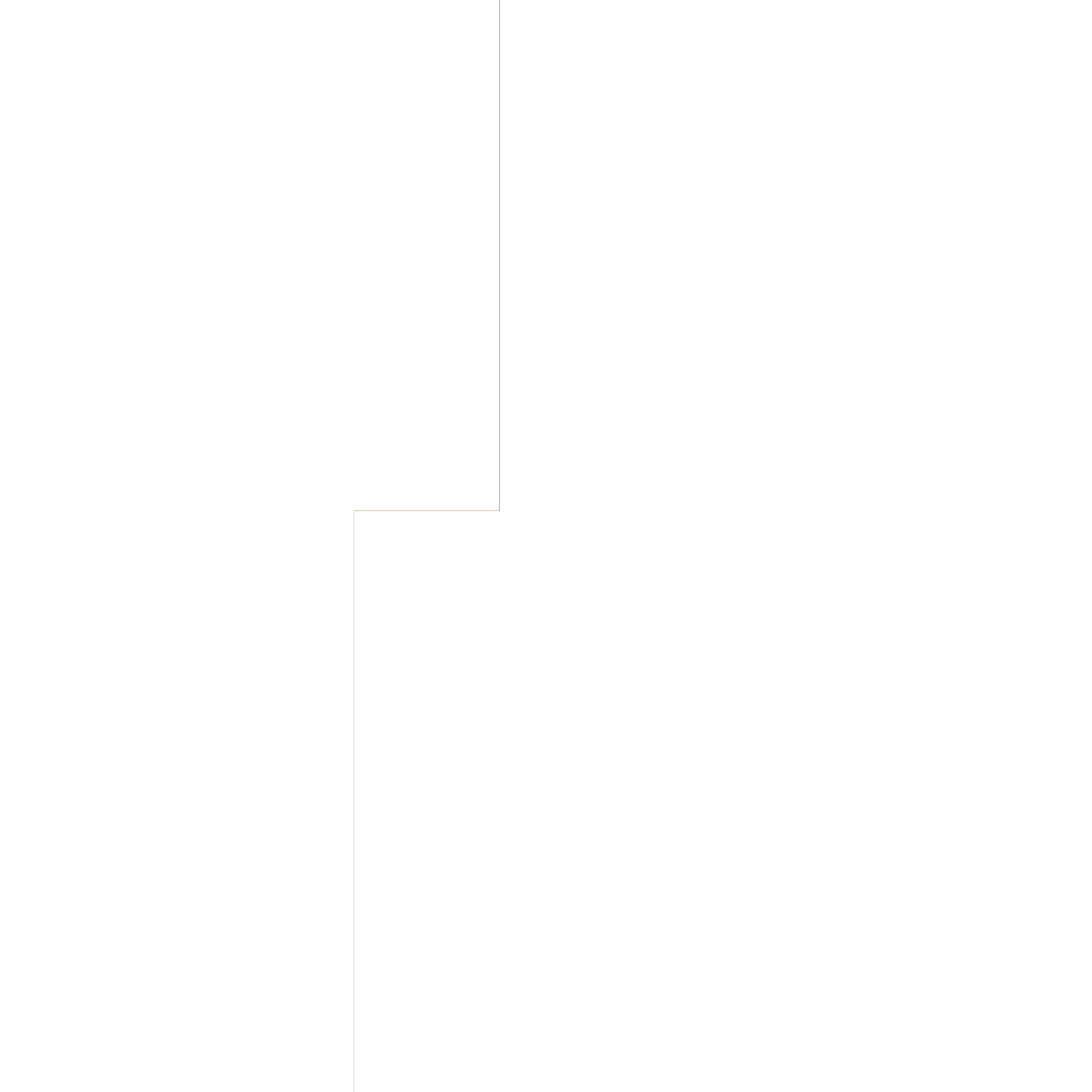 BG_gold_line_bend-01.png