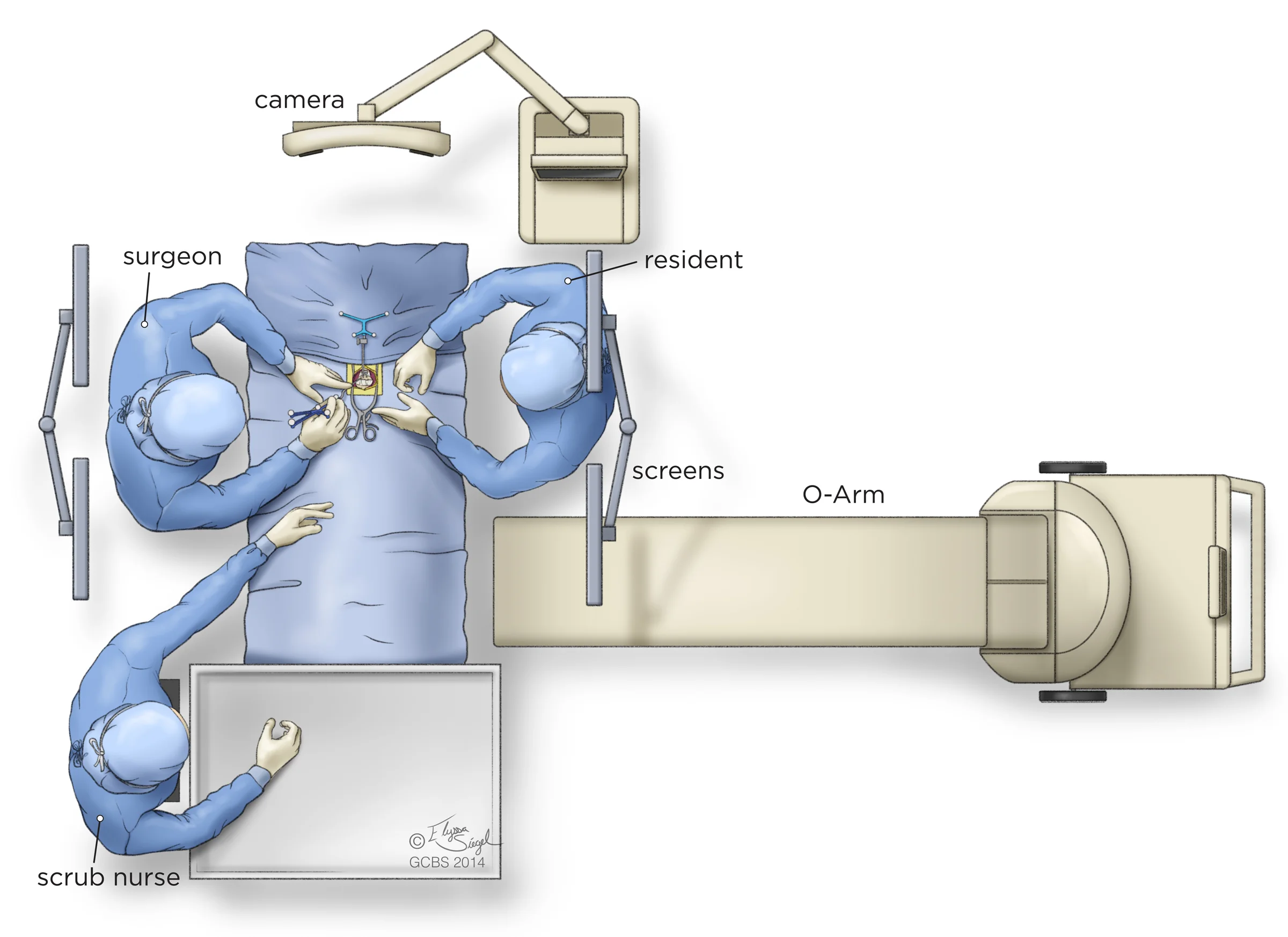 fig1.jpg