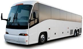 Bus.jpg