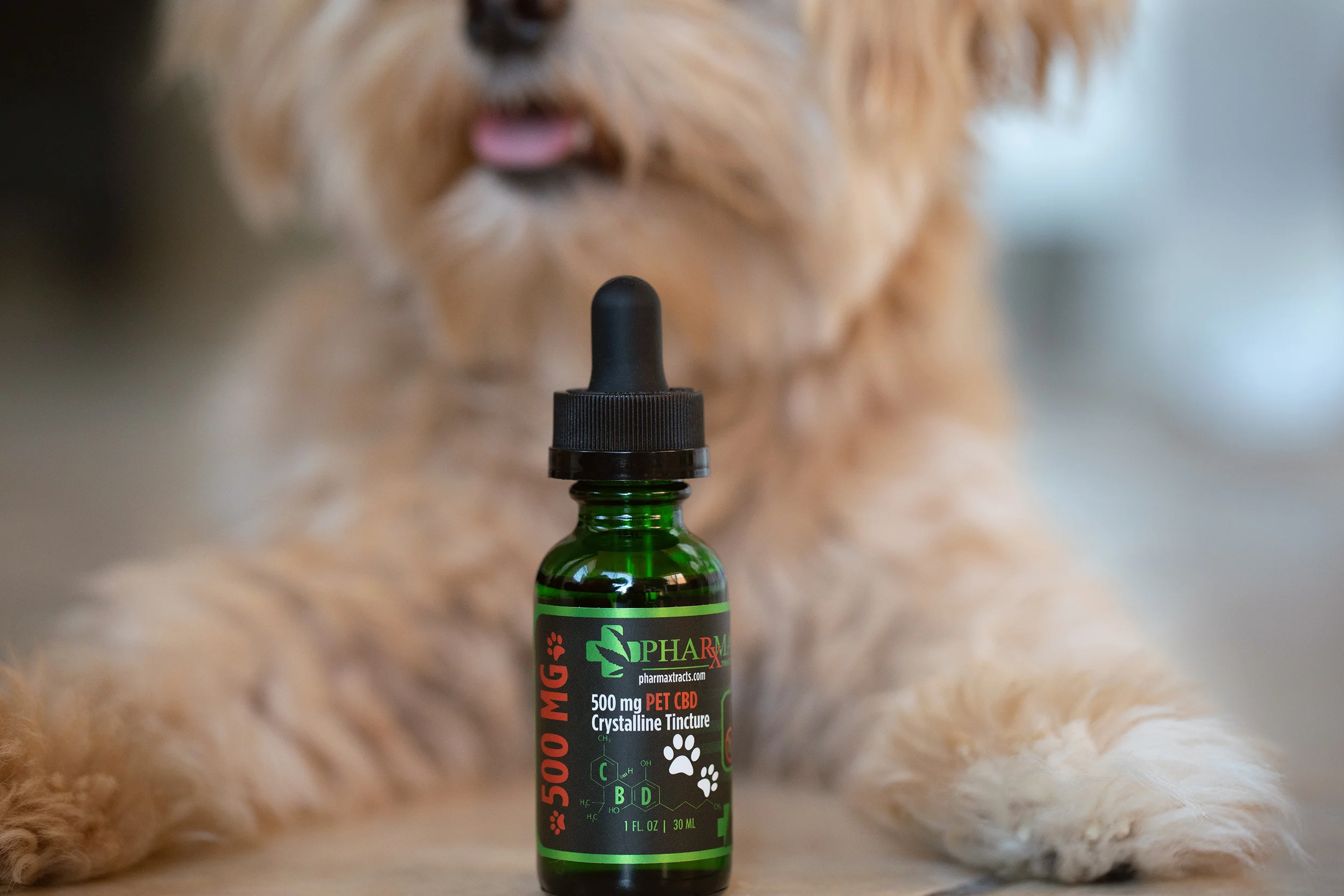Doggie Pharmaxtracts 3691 Web sz.jpg