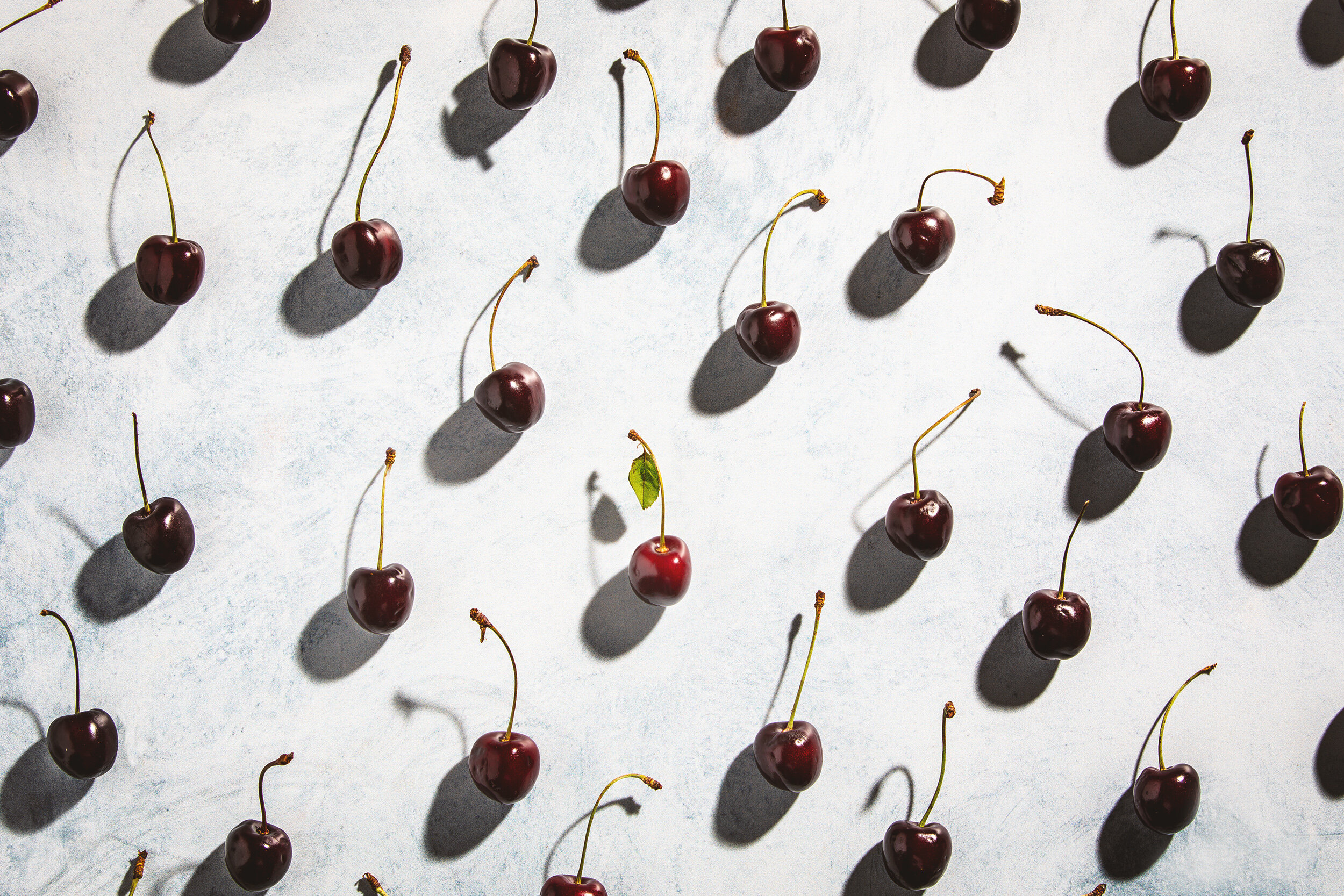 Cherry 1 web.jpg