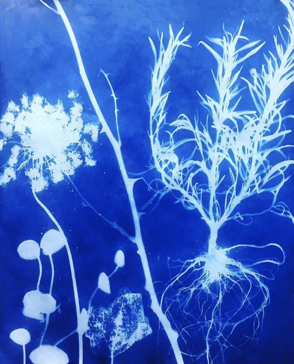 The Green Room Exhibition - SHAMSY Cocoon Installation May 25, 2019 - July 31, 2019 Opening Reception / Thursday, April 4, 2019 View Pieces More information