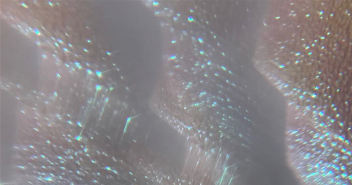 Screen Shot 2019-08-29 at 3.41.03 PM.png