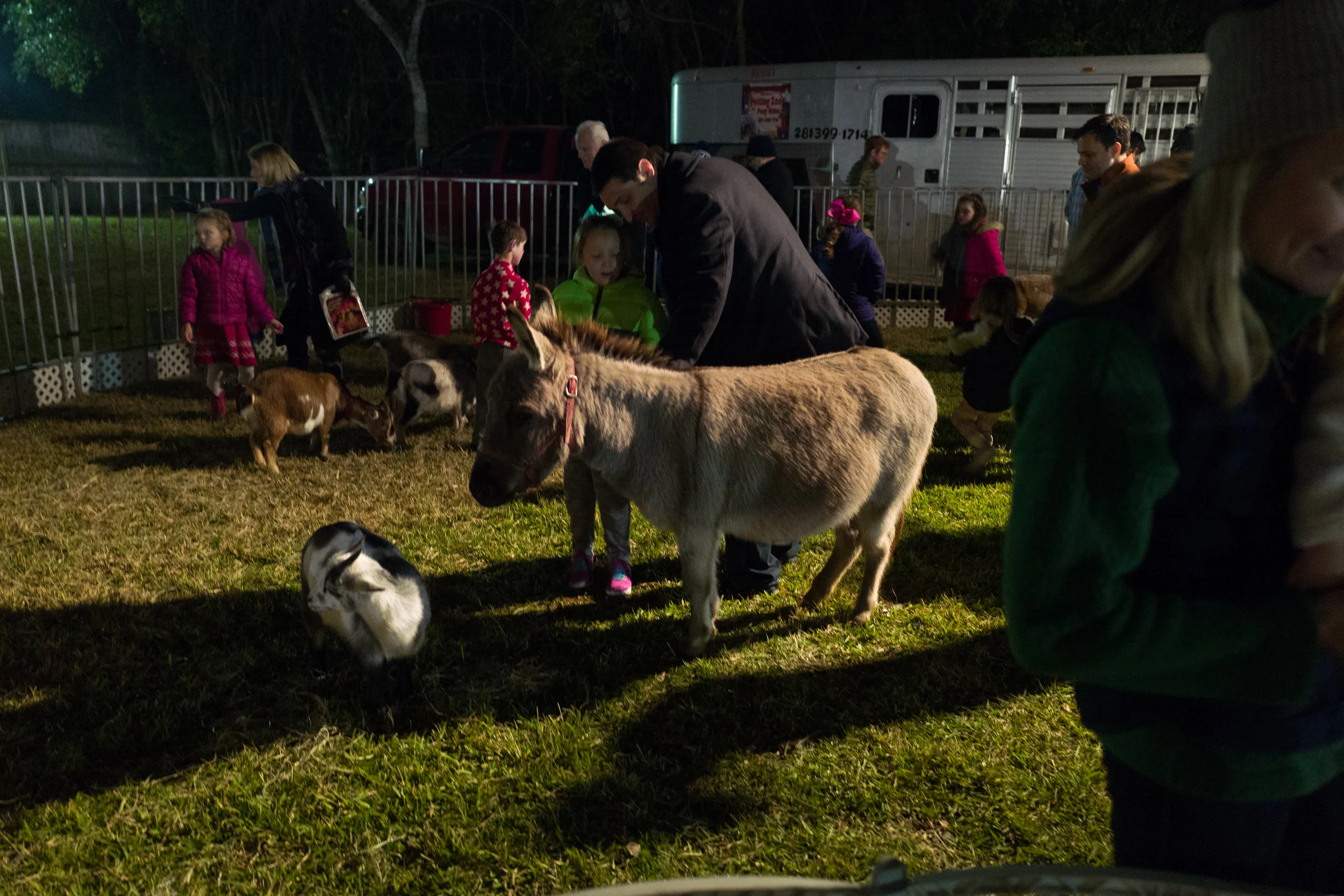 Christmas Alive 2018-1090802.jpg
