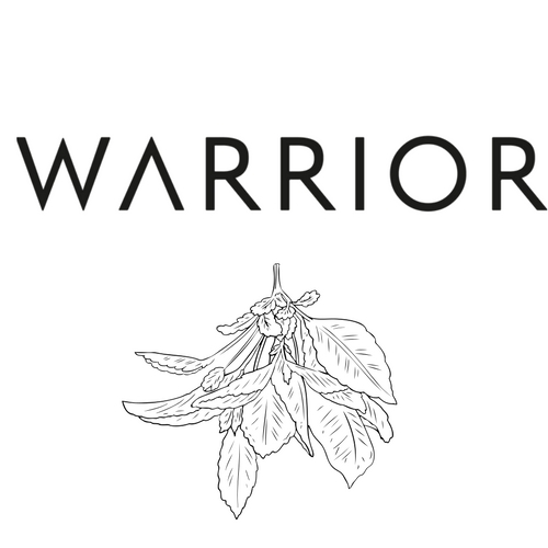 Warrior Logo.jpg