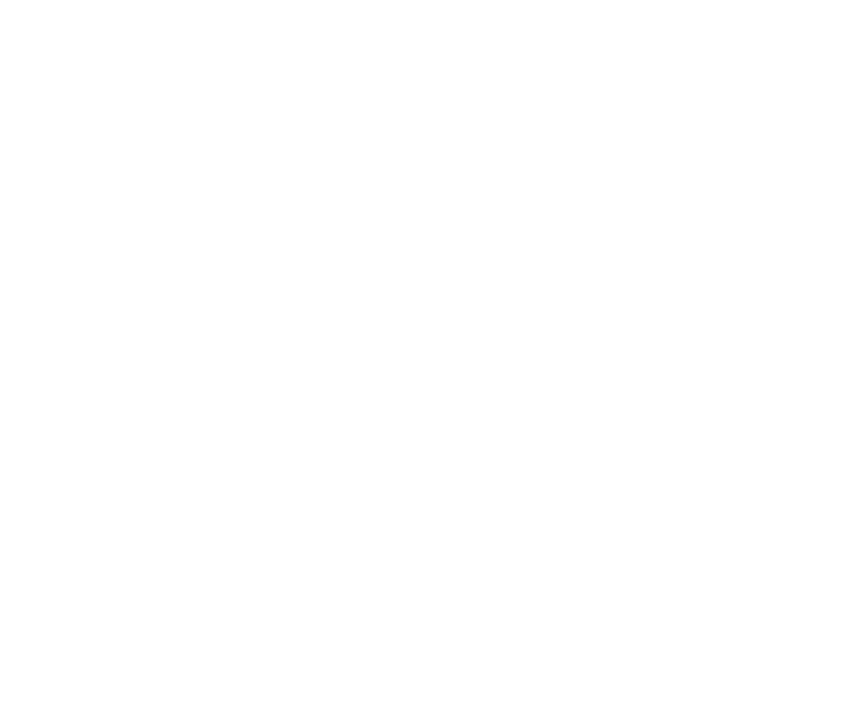 Hoke Homes - Chicago Real Estate