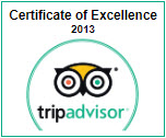 tripadvisor2013.jpg