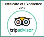 tripadvisor2016.jpg