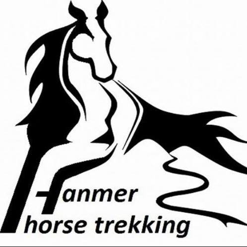Hanmer Horse Trekking