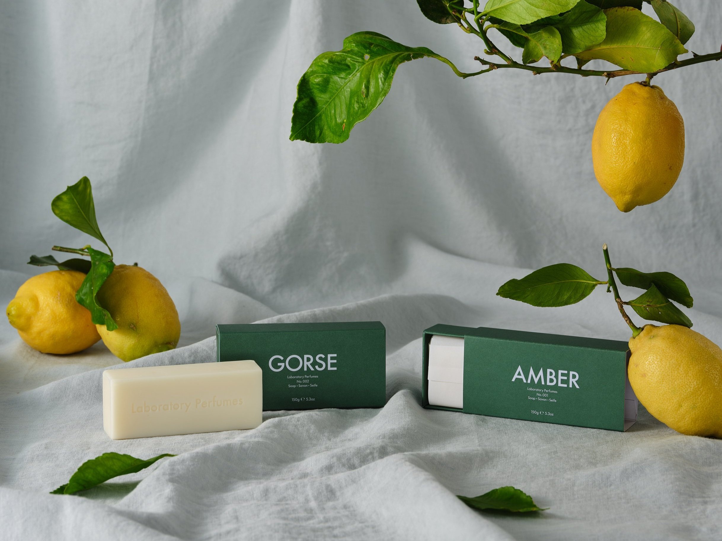 Laboratory-Perfumes-22.7.222047.jpg